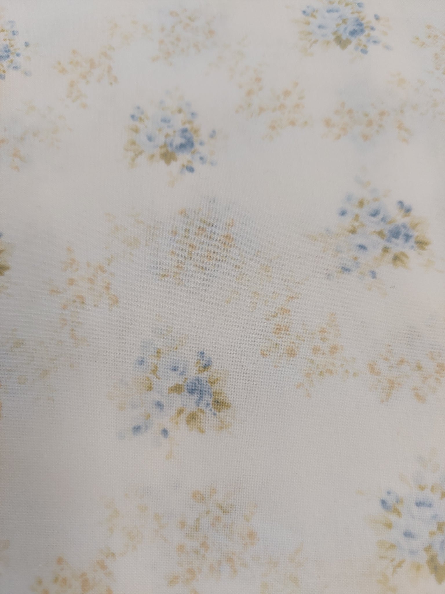 Mary Rose cotton fabric by Quilt Gate MR1040-13C Tiny Blue Roses on Cream