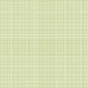Flowers and Feathers Cotton Fabric P & B Textiles 4474 Plaid Light Green