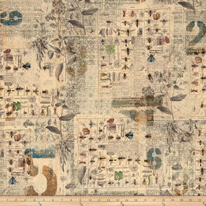 Eclectic Elements cotton fabric by Tim Holtz for Free Spirit PWTH027multi
